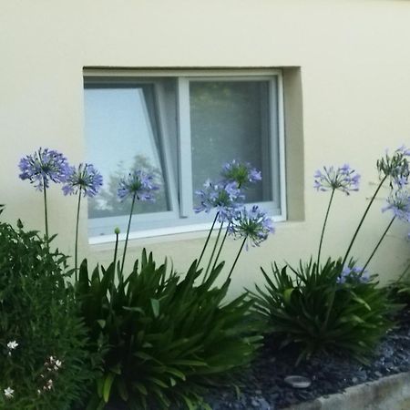 Les Hortensias Fortschwihr 外观 照片