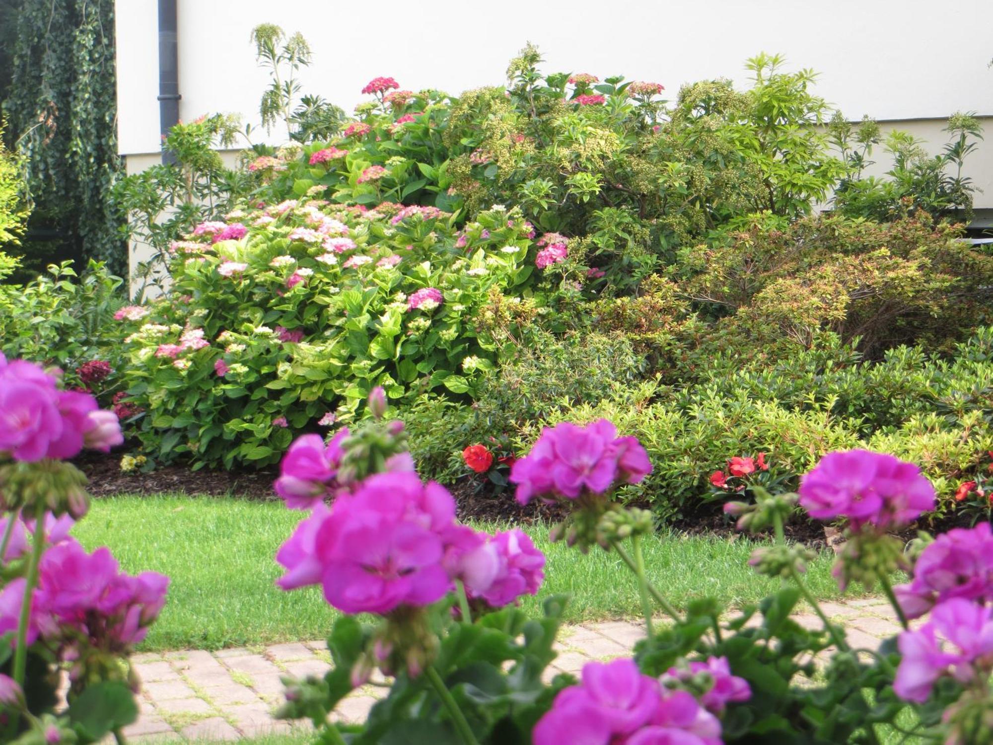 Les Hortensias Fortschwihr 外观 照片