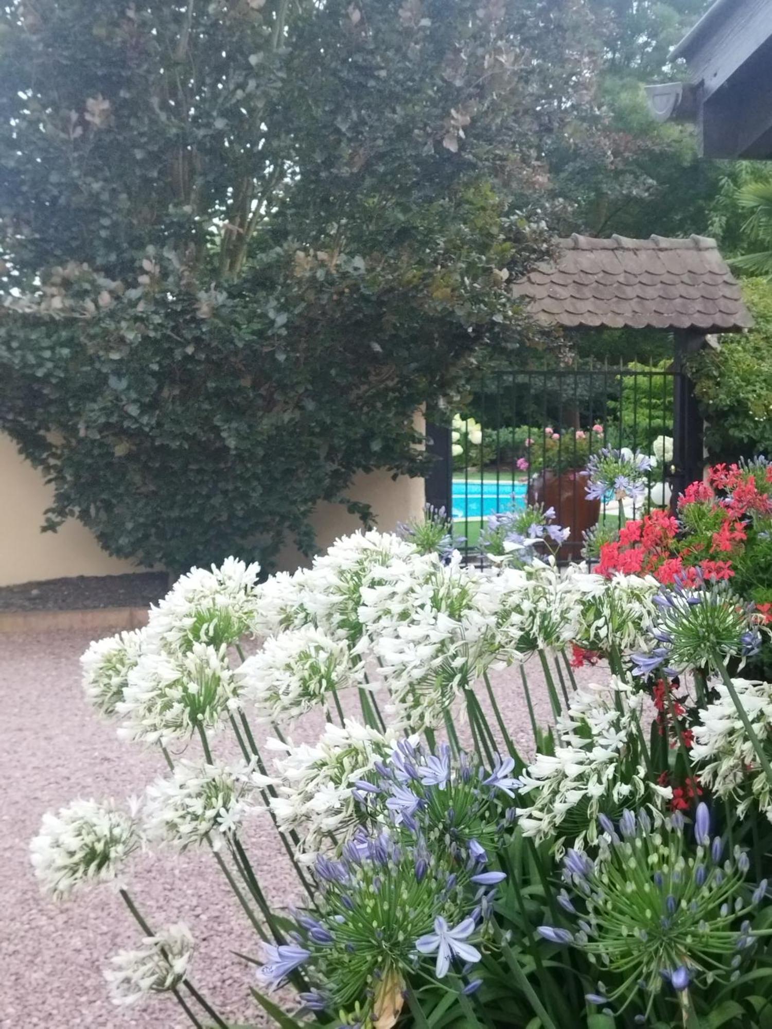 Les Hortensias Fortschwihr 外观 照片